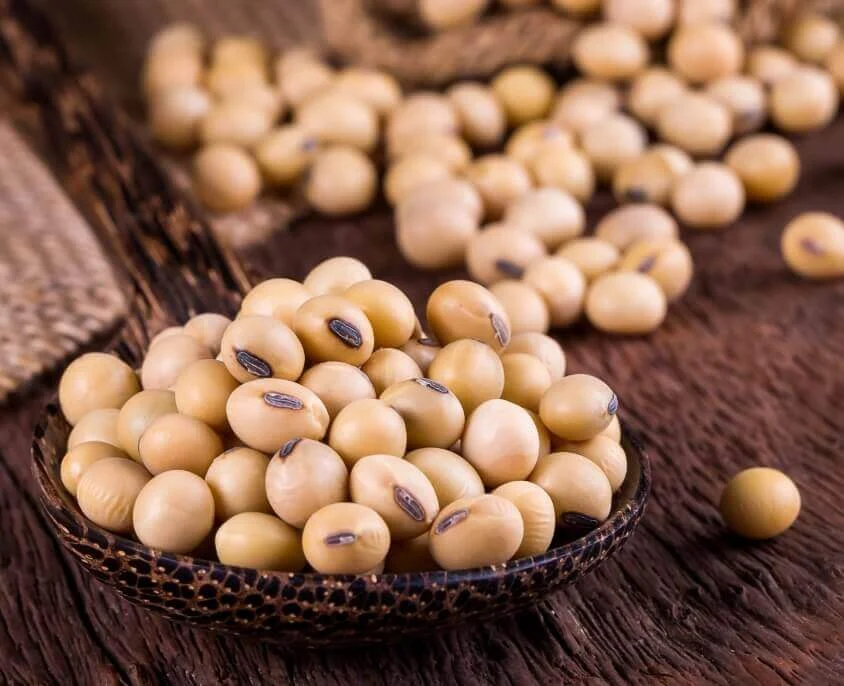 Soybean Meal